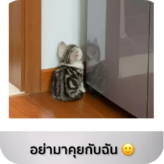 Telegram sticker 🐱 𝑹𝒐𝒎𝒂𝒏𝒐𝒇 :: @fStikBot