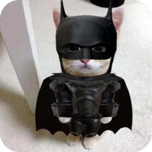 Телеграм стикер 🥷 MOOD