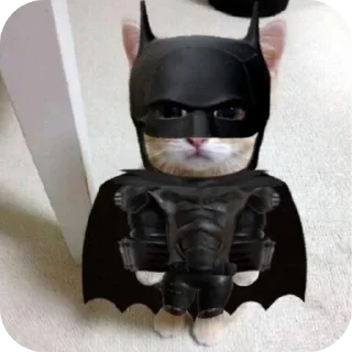 Video sticker 🥷 MOOD