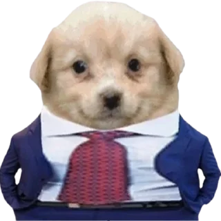 Telegram sticker 😎 kekma