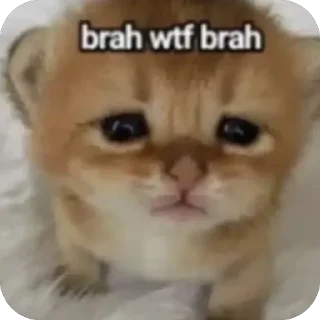 Sticker 🤔 saltyyy