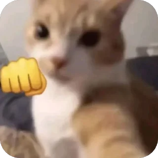 Telegram sticker 👊 saltyyy