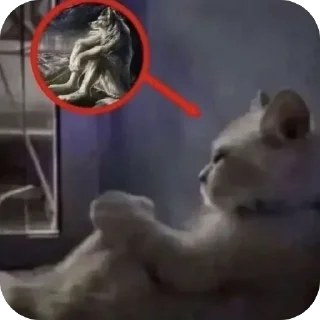 Video sticker 🥀 saltyyy