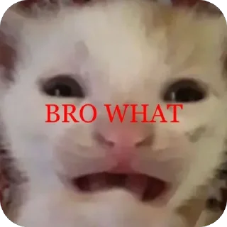 Video sticker 😨 saltyyy