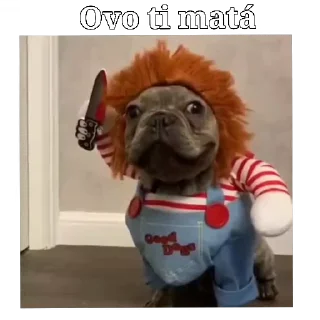 Video sticker 🐕 CAPS Vibes 🤪 by Clarissinh - @saude_foco, @radin_