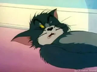 Video sticker 🤨 تام فنان متعصب