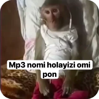 Video sticker 😐 @Jorabek_7750 :: @fStikBot