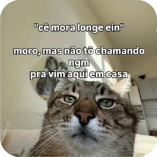 Telegram sticker 🙄 MeuS2s :: @fStikBot
