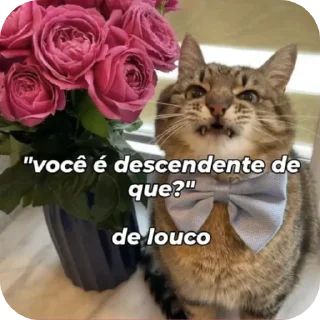 Telegram sticker 👍 MeuS2s :: @fStikBot