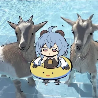 Video sticker 😴 Ganyu