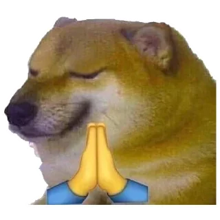 Sticker 😢 Dogebaazi