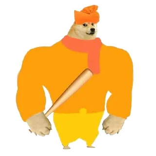 Video sticker 😎 Dogebaazi
