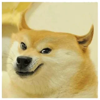 Video sticker 😉 Dogebaazi