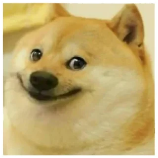 Telegram stiker 😁 Dogebaazi