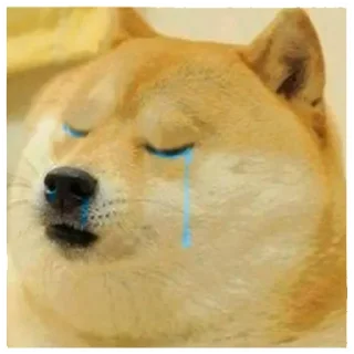 Telegram stiker 😭 Dogebaazi