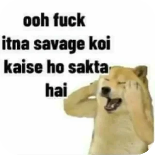 Telegram sticker 🐶 Memes_haiyawr