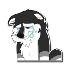 Telegram sticker 😢 Sprocket D Husky