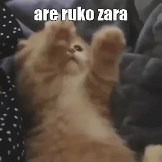 Telegram stiker 🙂 Twinkle's stic-pack (@Alucard_Robot)