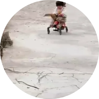 Video sticker 🤩 小孩表情包点击 @shayudidibiaoqing