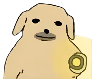 Video sticker 😑 NudaengDog