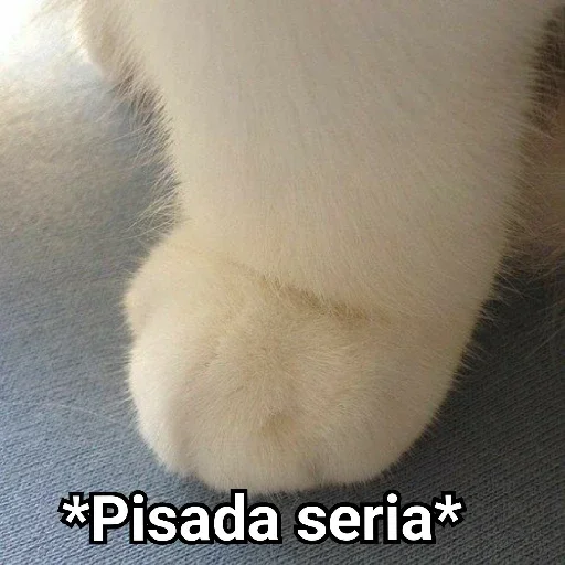 Telegram sticker 🧐 Das