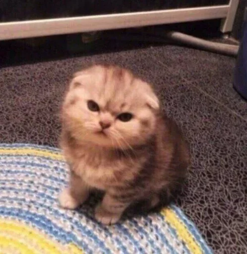 Telegram sticker 😡 Das