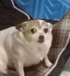 Telegram sticker 🔥 Evilgod