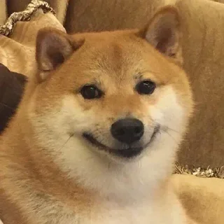 Sticker 😐 Evilgod