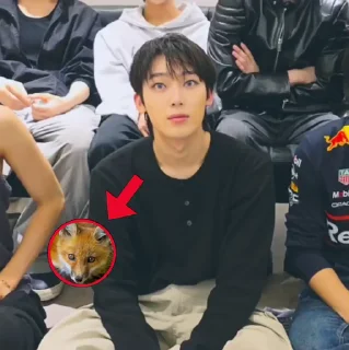 Video sticker ✖️ ‌ ‌‌ ‌ ‌‌ devaki ‌ ‌‌ @chocofoxxx ‌ ‌‌ # foxy