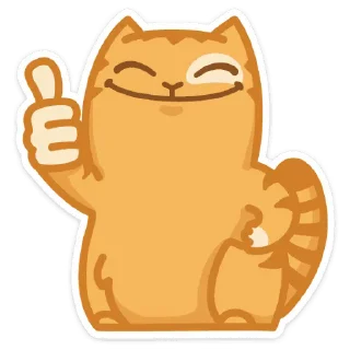 Video sticker 👍 Персик @stickersvvk