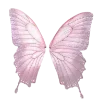 Sticker 🦋 butterfly ➜ @emoji1