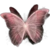 Sticker 🦋 butterfly ➜ @emoji1
