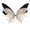 Sticker 🦋 butterfly ➜ @emoji1