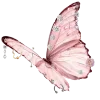 Sticker 🦋 butterfly ➜ @emoji1
