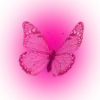 Sticker 🦋 butterfly ➜ @emoji1