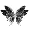Video sticker 🦋 butterfly ➜ @emoji1