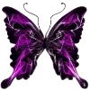 Sticker 🦋 butterfly ➜ @emoji1