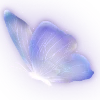 Sticker 🦋 butterfly ➜ @emoji1