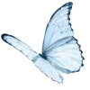 Sticker 🦋 butterfly ➜ @emoji1