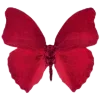 Video sticker 🦋 butterfly ➜ @emoji1