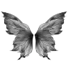 Sticker 🦋 butterfly ➜ @emoji1