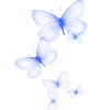 Sticker 🦋 butterfly ➜ @emoji1