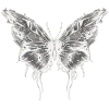 Video sticker 🦋 butterfly ➜ @emoji1