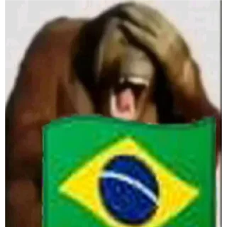 Telegram sticker 🇧🇷 MonoCaca @elpatasxde