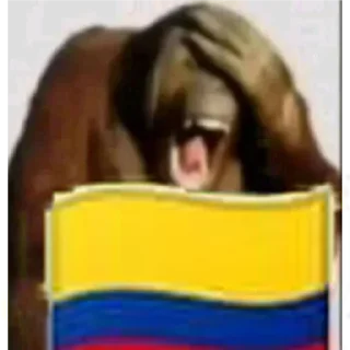 Video sticker 🇨🇴 MonoCaca @elpatasxde
