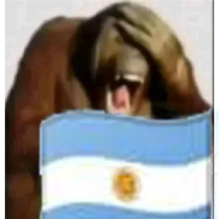 Video sticker 🇦🇷 MonoCaca @elpatasxde