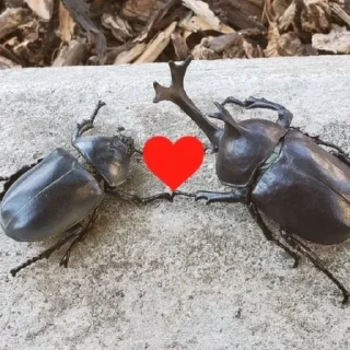 Telegram stiker 🧡 немыслимо