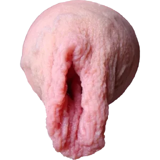 Telegram sticker 😱 Стики 8767 из @Anonymnyi_chat_bot