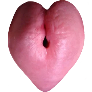 Video sticker 💜 Стики 8767 из @Anonymnyi_chat_bot