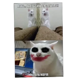 Telegram sticker 🐱 Огонёк by @DuoSticker_bot